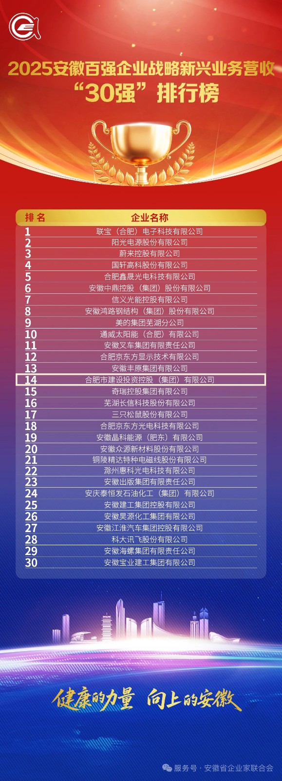 1763967134353 3.2025安徽百強企業戰略新興業務營收30強